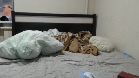 Snapshot of cris_peace chatting on 01/19/26, 01:09 JOIN IN A FAN CLUB AND YOU WILL HAVE 90 OF MY PHOTOVIDEO FREE FANSLY - online show from 01/19/26, 01:09