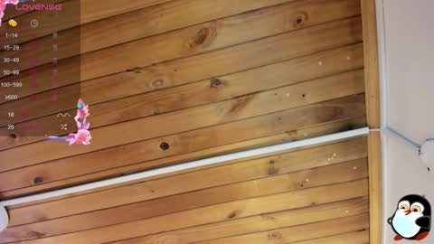 Cristal online show from 10/29/25, 05:53