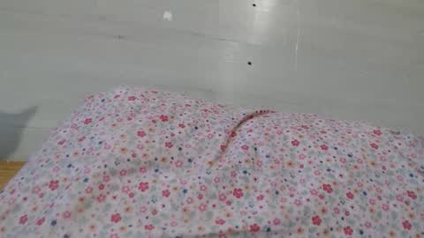 cristiyna36 online show from 03/11/26, 02:34