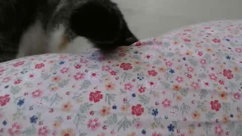 cristiyna36 online show from 03/25/26, 12:11