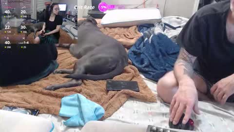 Snapshot of crownandkat chatting on 03/02/26, 11:33 Crownandkat online show from 03/02/26, 11:33