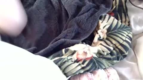 Crucifux online show from 01/30/25, 08:31