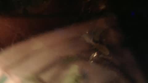 Snapshot of cryan78 chatting on 02/02/25, 06:31 cryan96 online show from 02/02/25, 06:31