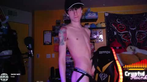 CryptidTwink online show from 02/19/26, 06:53