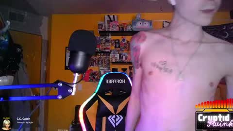 CryptidTwink online show from 03/18/26, 06:27