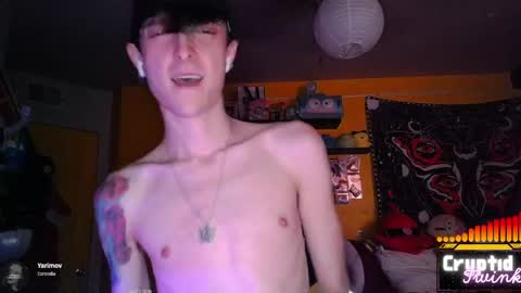 CryptidTwink online show from 04/07/26, 06:14