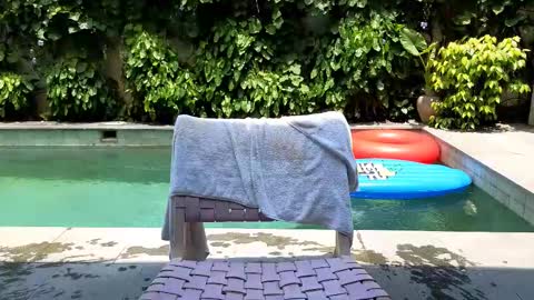 Lin inst lingoodyy online show from 02/25/25, 03:52