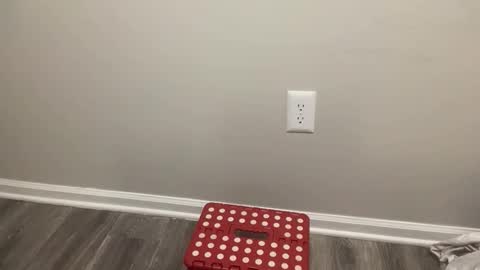 BlacTrojan OF online show from 02/04/26, 08:47