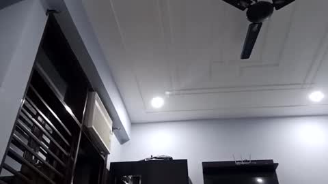 cuddlemuffins online show from 02/27/26, 03:23