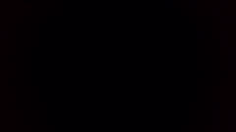 Breeding Bull USA online show from 02/03/26, 09:36