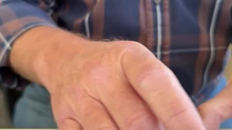 curio online show from 04/03/26, 08:29