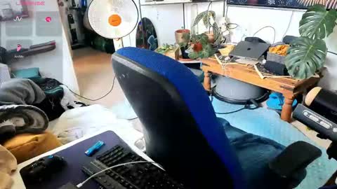 curiousgenie online show from 03/30/26, 09:32