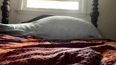 Curiousperformance online show from 12/04/24, 01:53