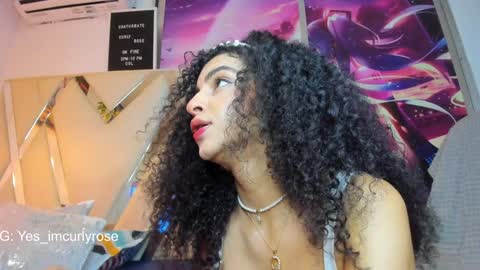 Snapshot of curlyrose_ chatting on 12/20/24, 12:52 Rose online show from 12/20/24, 12:52