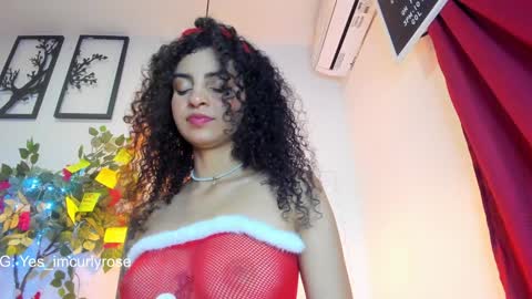 Snapshot of curlyrose_ chatting on 12/24/24, 11:55 Rose online show from 12/24/24, 11:55
