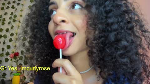 Snapshot of curlyrose_ chatting on 01/22/25, 12:16 Rose online show from 01/22/25, 12:16