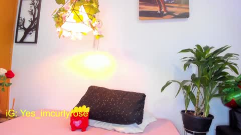 Snapshot of curlyrose_ chatting on 01/28/25, 08:04 Rose online show from 01/28/25, 08:04