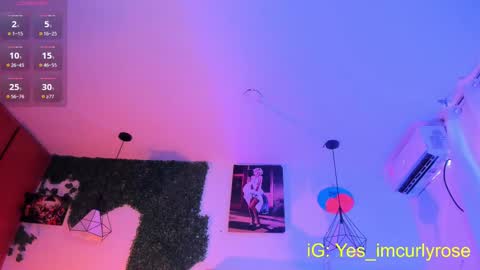 Snapshot of curlyrose_ chatting on 09/09/25, 10:09 Rose online show from 09/09/25, 10:09