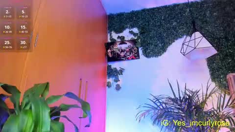 Snapshot of curlyrose_ chatting on 09/24/25, 09:29 Rose online show from 09/24/25, 09:29