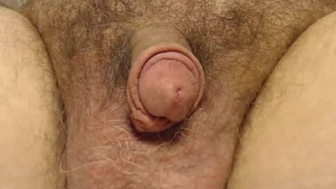 curve66 online show from 02/06/25, 04:25