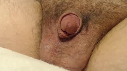 curve66 online show from 12/04/25, 03:38