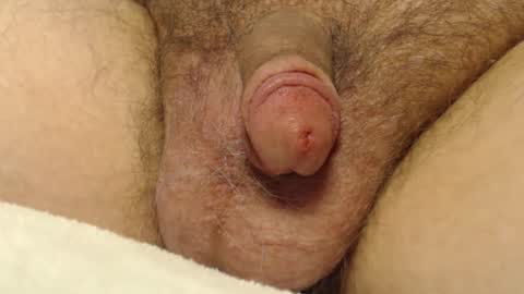 curve66 online show from 01/10/26, 09:30