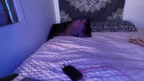 Cline  online show from 03/02/25, 07:21