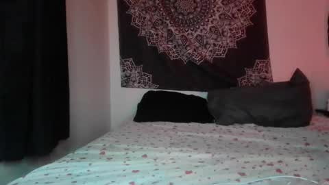 Snapshot of curvybcelinemixe chatting on 06/21/26, 01:41 Cline online show from 06/21/26, 01:41