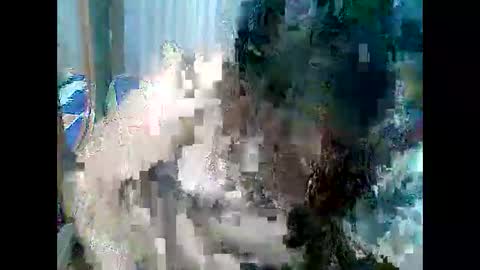 Snapshot of cutechubbyasian chatting on 04/26/26, 11:30 cutechubbyasian online show from 04/26/26, 11:30