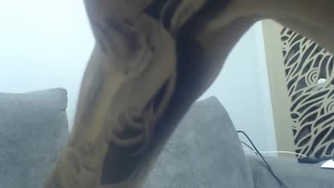 cuteeboy online show from 12/02/25, 08:37