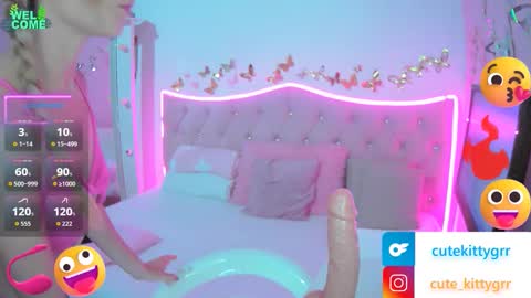 Kitty online show from 02/18/26, 11:55