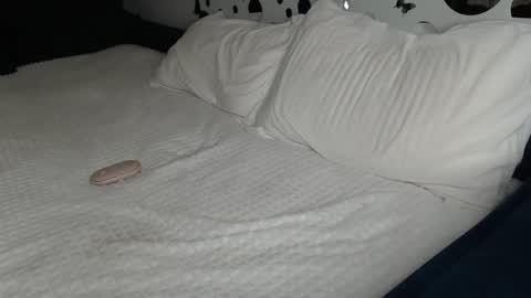 Anna online show from 01/27/25, 01:52