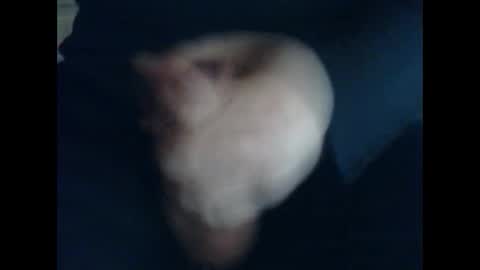 CutieBoy online show from 10/31/25, 11:44