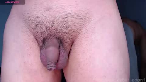 cyber online show from 01/16/25, 01:58