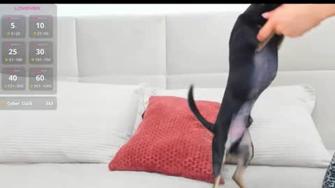 Eva online show from 04/18/26, 07:07