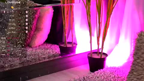 Ivy online show from 11/14/25, 04:22