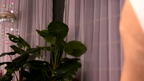 Snapshot of cynthiawest chatting on 07/03/26, 03:35 Ivy online show from 07/03/26, 03:35