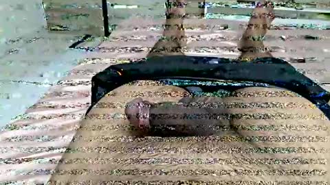 Snapshot of d130213 chatting on 10/03/25, 01:46 d130213 online show from 10/03/25, 01:46