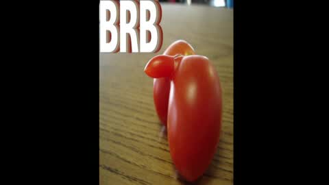 Dave online show from 04/15/26, 04:19