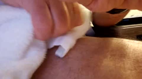 Snapshot of daaavy11 chatting on 02/19/26, 02:18 daaavy11 online show from 02/19/26, 02:18