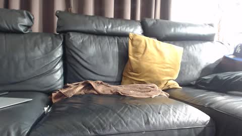 daddy6969xxxx online show from 02/08/25, 07:15