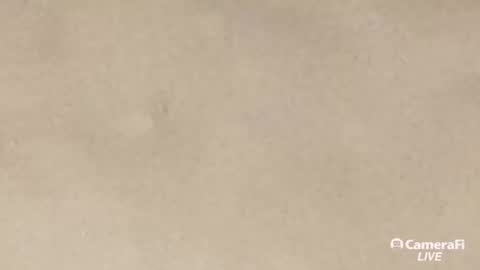 Tommy online show from 09/20/25, 10:05