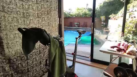 bas online show from 11/09/25, 03:43