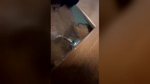DaddyLeeBBC online show from 05/06/26, 05:57