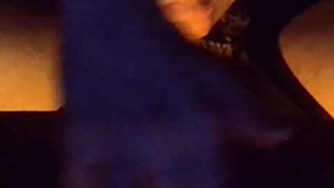 daddypervbuttprincess online show from 06/26/26, 08:46