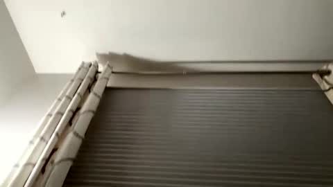 daddyweis online show from 09/16/25, 02:23