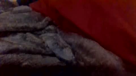 daddywhite88 online show from 01/14/26, 12:38