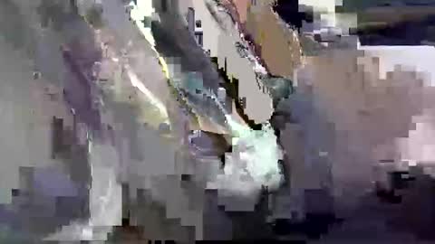 GIANT  Lamar  72 ft  tall  with a  10 inches  BBC   hard quick cumshot in private show lets go online show from 03/26/26, 12:00