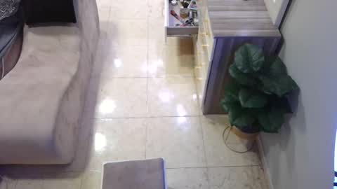 Deffa online show from 02/16/25, 12:54