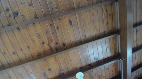 dafne_hillss online show from 09/27/25, 02:00